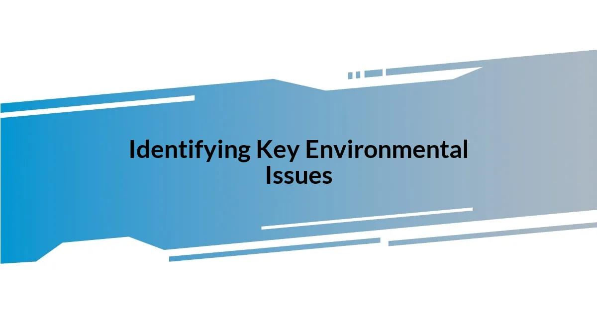 Identifying Key Environmental Issues